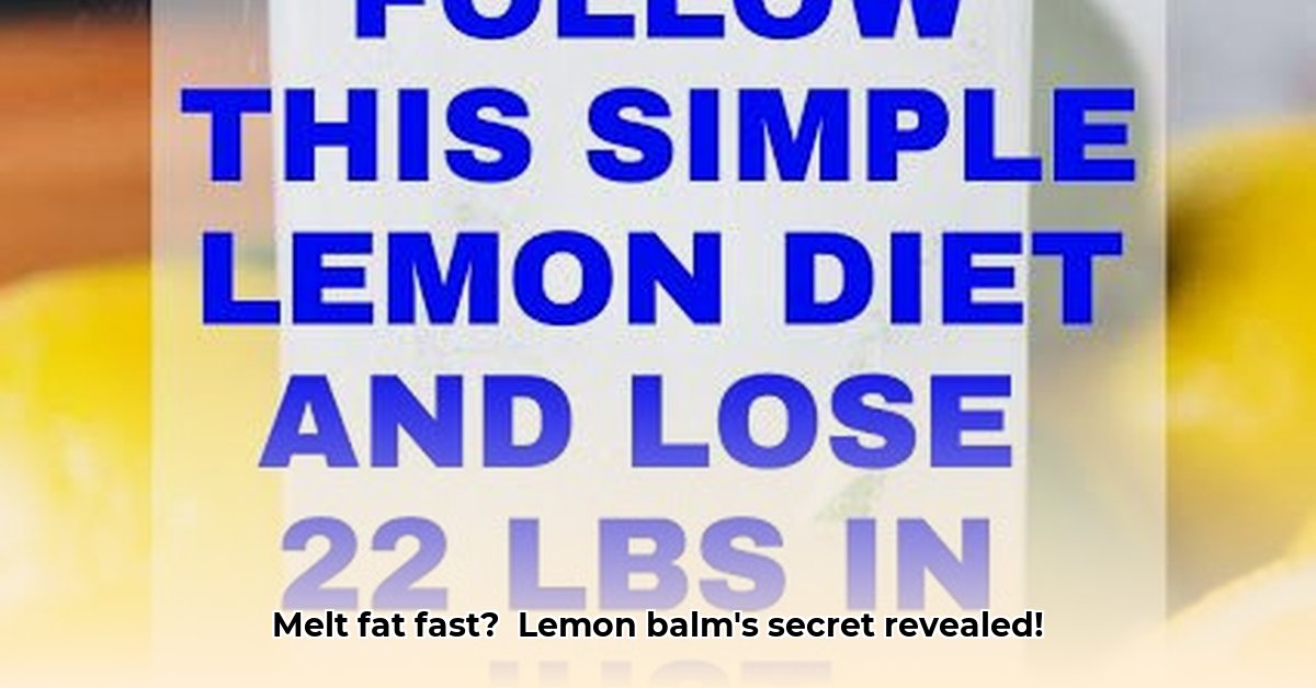 how-to-make-lemon-balm-drink-for-weight-loss